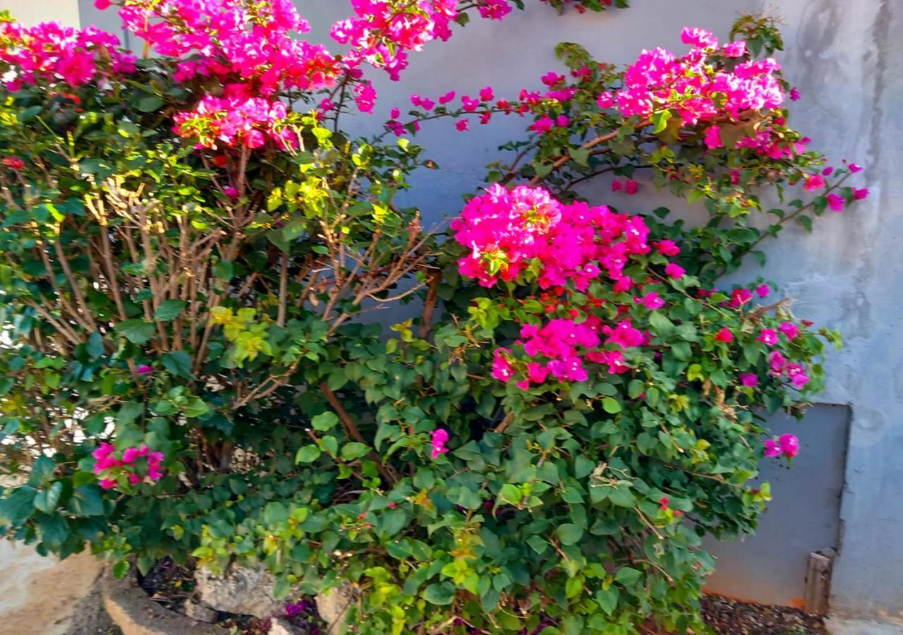 R Garden Villa Au Calme De Baie Du Tombeau, Appartement Familiale De 3 Chambres Et Cuisine Dış mekan fotoğraf